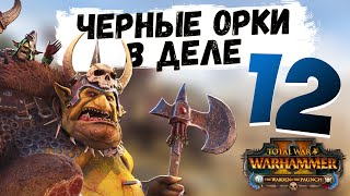 Вааагх! Гром Пузо на Легенде #12 | Total War: Warhammer II (The Warden The Paunch)