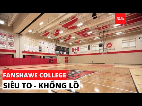 Video FANSHAWE COLLEGE I LÁI XE VÒNG QUANH TRƯỜNG - youtube