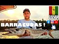Barracudas   sjour de pche exotique en guine conakry  guinea fishing camp