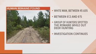 UPDATE: Remains found in Ocala National Forest idenfied as male