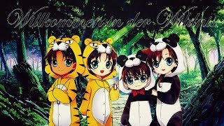 Detektiv Conan AMV ||Wirklich Liebe|| Shinran