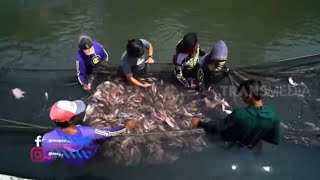 [FULL] JELAJAH KLATEN & SOLO | JEJAK ANAK NEGERI (09/02/23)