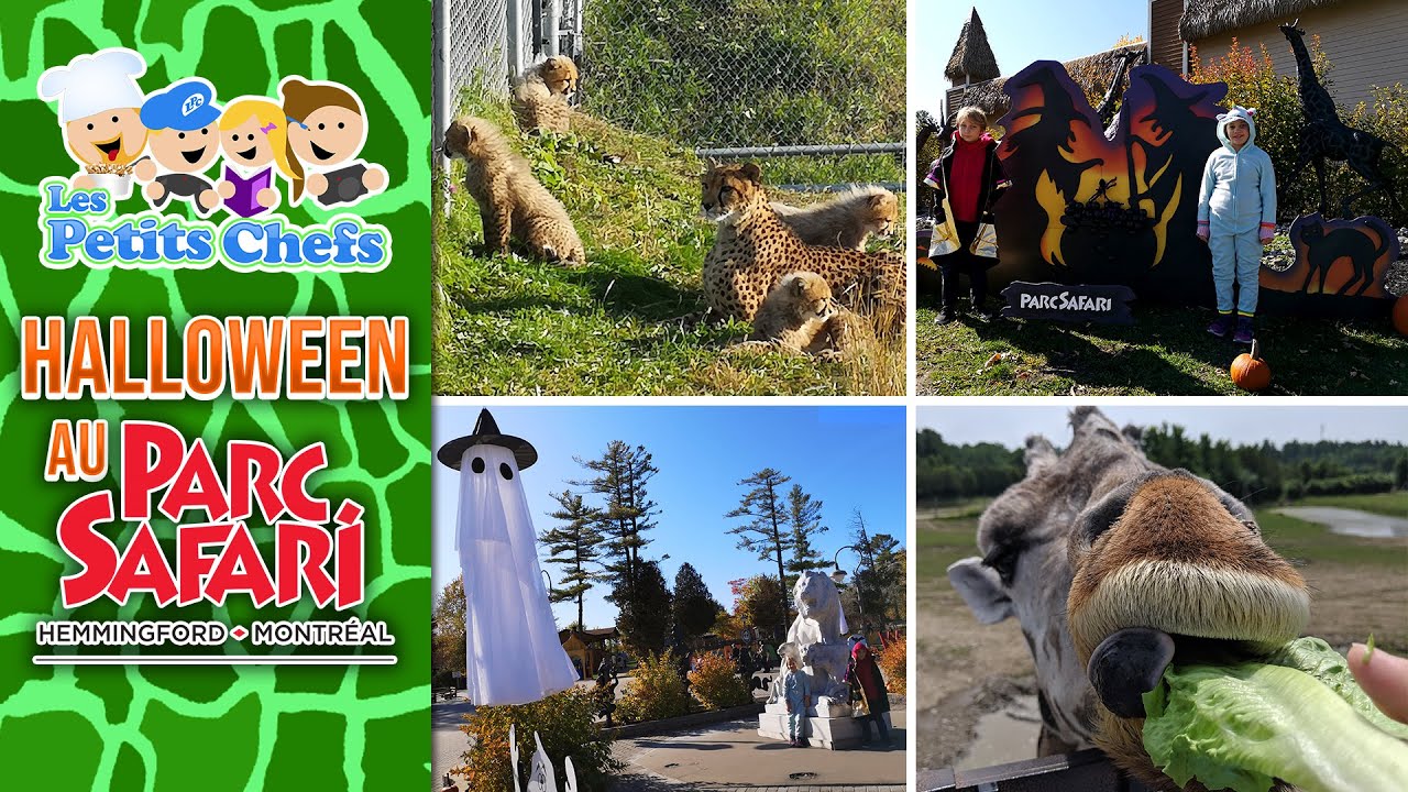 halloween at safari park