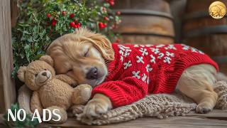 12 HOURS Dog Calming Music 🐶🌸 Soft Steady Tones 🎶 Encourage Comfortable Relaxation 💤 No Ads screenshot 3