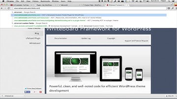 WordPress nâng cao 2  Custom Fields
