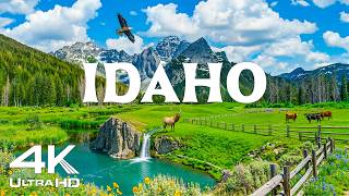 Idaho 4K – Alpine Lakes, Forest Wildlife & Peaceful Mountain Landscapes