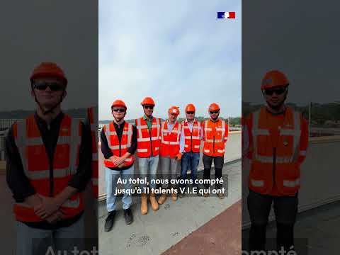 SETAO, CMA CGM, CANAL+ Group… ils ont choisi le dispositif V.I.E