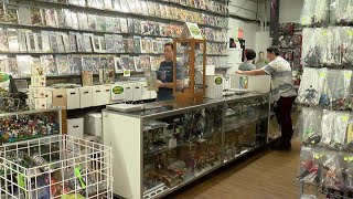 Marvel Comic book co-creator Stan Lee remembered in Bay Area