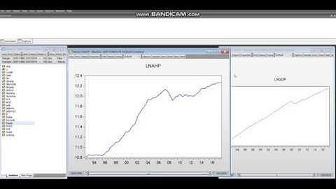 Video 1   Estimating and interpreting descriptive stats and plots on Eviews