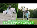 Je monte  cheval sans selle et sans filet  on fait mme du saut dobstacles equitation