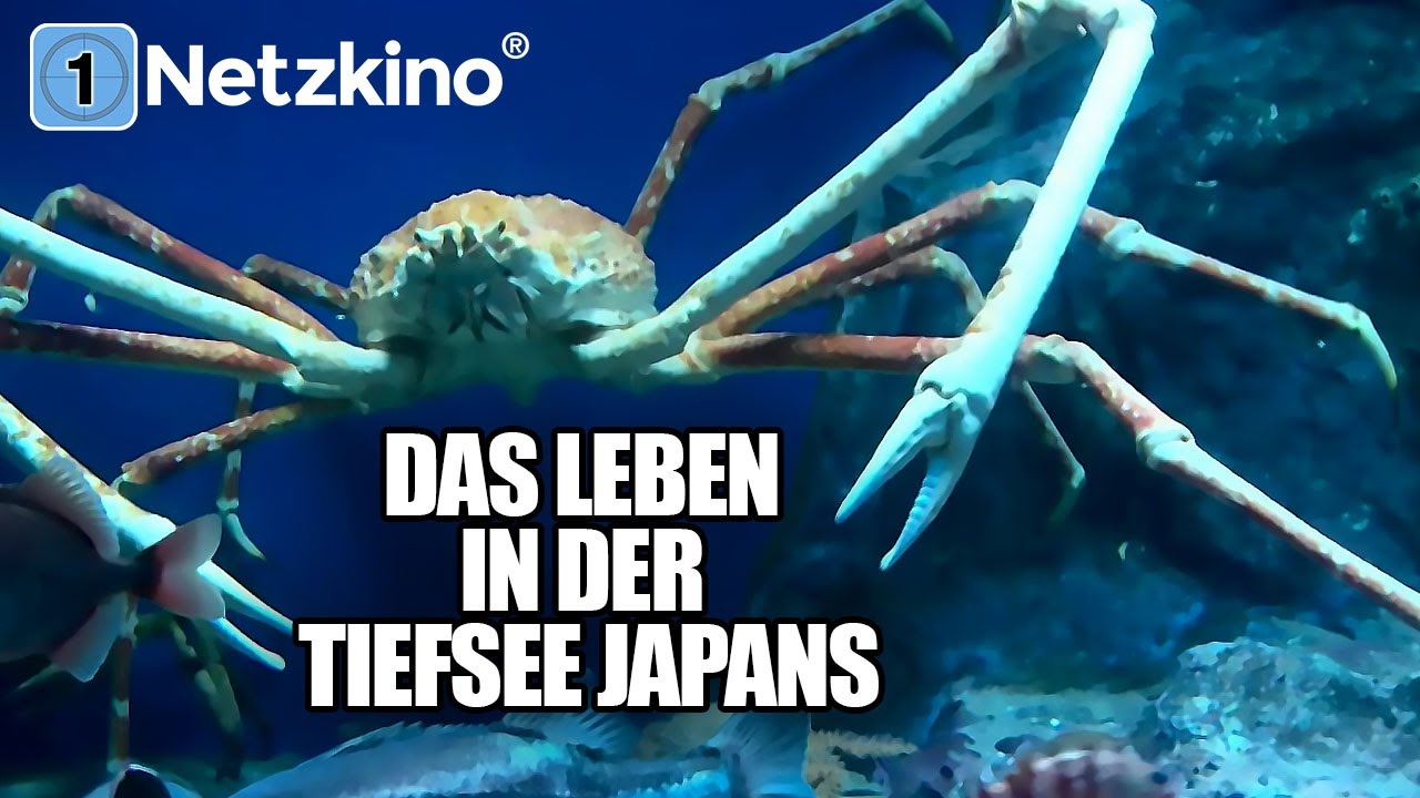 Planet Ocean 2 - Giganten der Weltmeere - Das Leben in der Tiefsee Japans (Dokumentation)