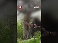 حزب الله يعرض مشاهد لاستهداف تحش دات جيش الاحتلال الإسرائيلي على الحدود اللبنانية الجنوبية