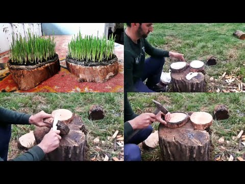 Homemade, Wheat on the Wood – სააღდგომო ჯეჯილი ხეზე