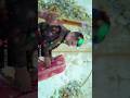 Oru അടിപൊളി vedio കണ്ടാലോ😍#trendingshorts #shortsvideo #lovestatus #lovesong #love #wedding