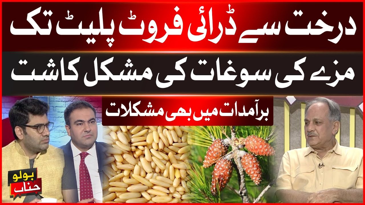 From Tree to Dry Fruit Plate: Tough Journey & Export Challenges of This Tasty Treat