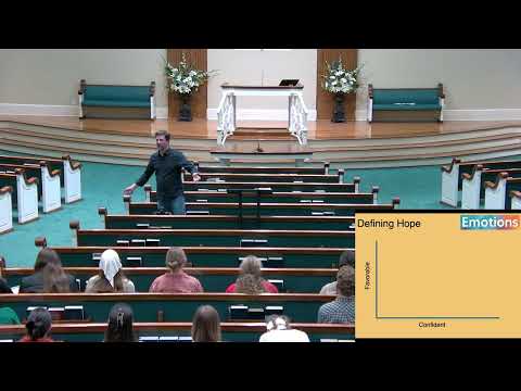 Video preview