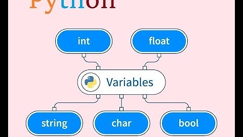 PYTHON VARIABLES
