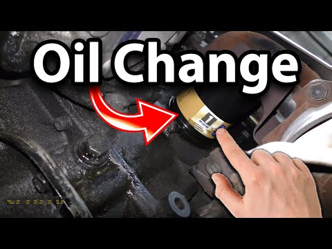 How to Change the Oil in Your Car (Everything You Need to Know)