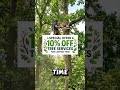 🌳That dangerous tree is a hazard?⚠️ Act now with our Tree Removal🪓🌿.