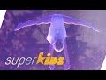 Showgirls age 10-13 fairy dance with acrobatics | Superkids