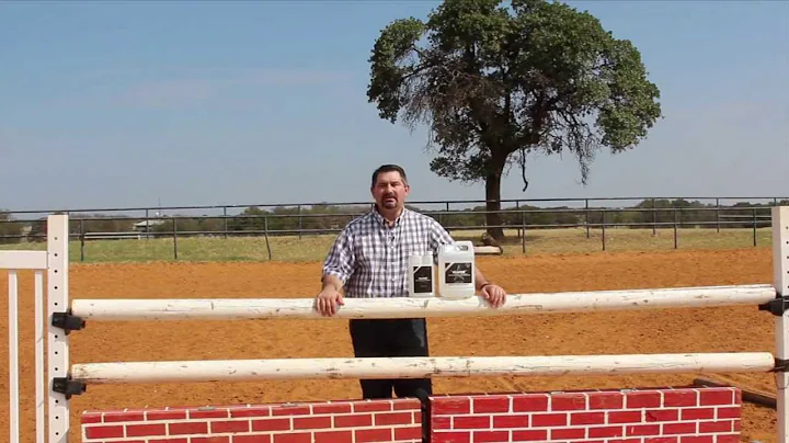 HyalONE Equine Joint Supplement by Mark DePaolo, DVM