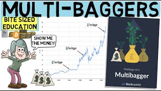 Finding Growth Stocks That Multiply. (Multibagger Study)
