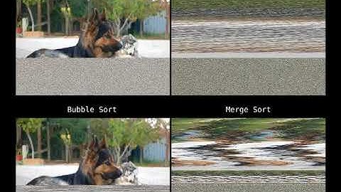 Behaviour of Sorting Algorithms