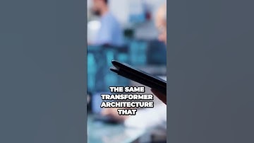 Meta