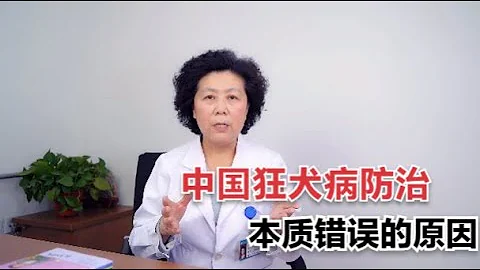 為什麼中國防治狂犬病，疫苗都用在人身上？這兩方面為根本原因！ 【黃立坤教授】 - 天天要聞