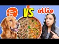 Brutally honest dog food review  farmers dog vs ollie