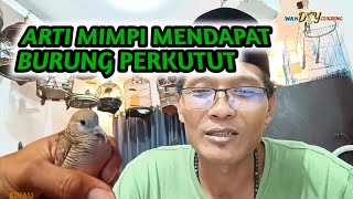Arti mimpi mendapat burung perkutut