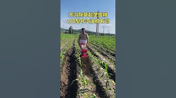 Mini Tiller Machine in Action | Powerful Farming Tool for Easy Soil Preparation part 935