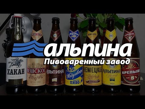 Video: Let Zanatskih Piva Uz Sponzorstvo BrewDoga San Je Ljubitelja Piva