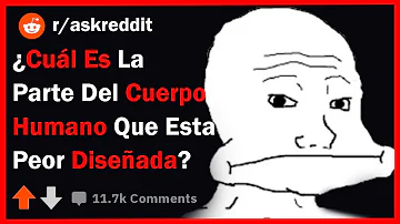 ¿Cuál es la parte del cuerpo más delicada?