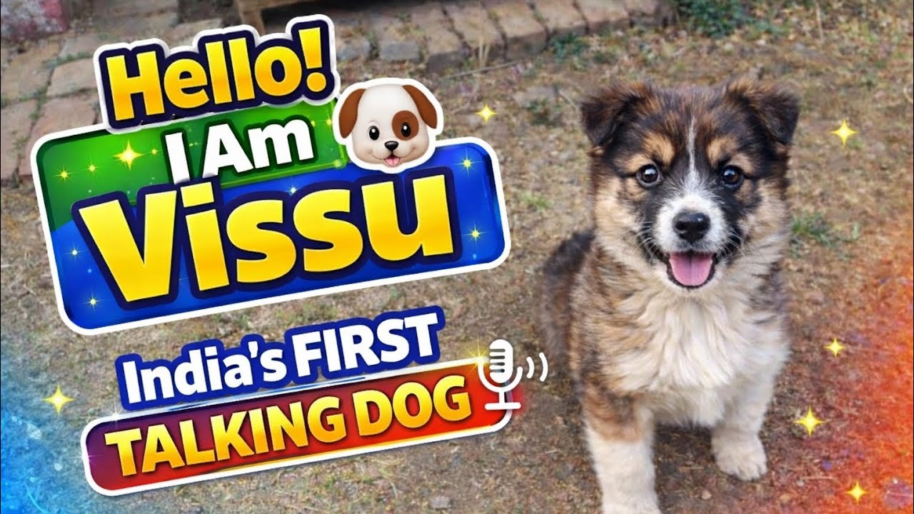 Hello I Am Vissu 🐶 | India’s First Talking Dog Vlog | My Home & Food