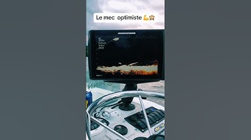 Mega Live 1 Humminbird #fishing #silure #catfish #shortvideo