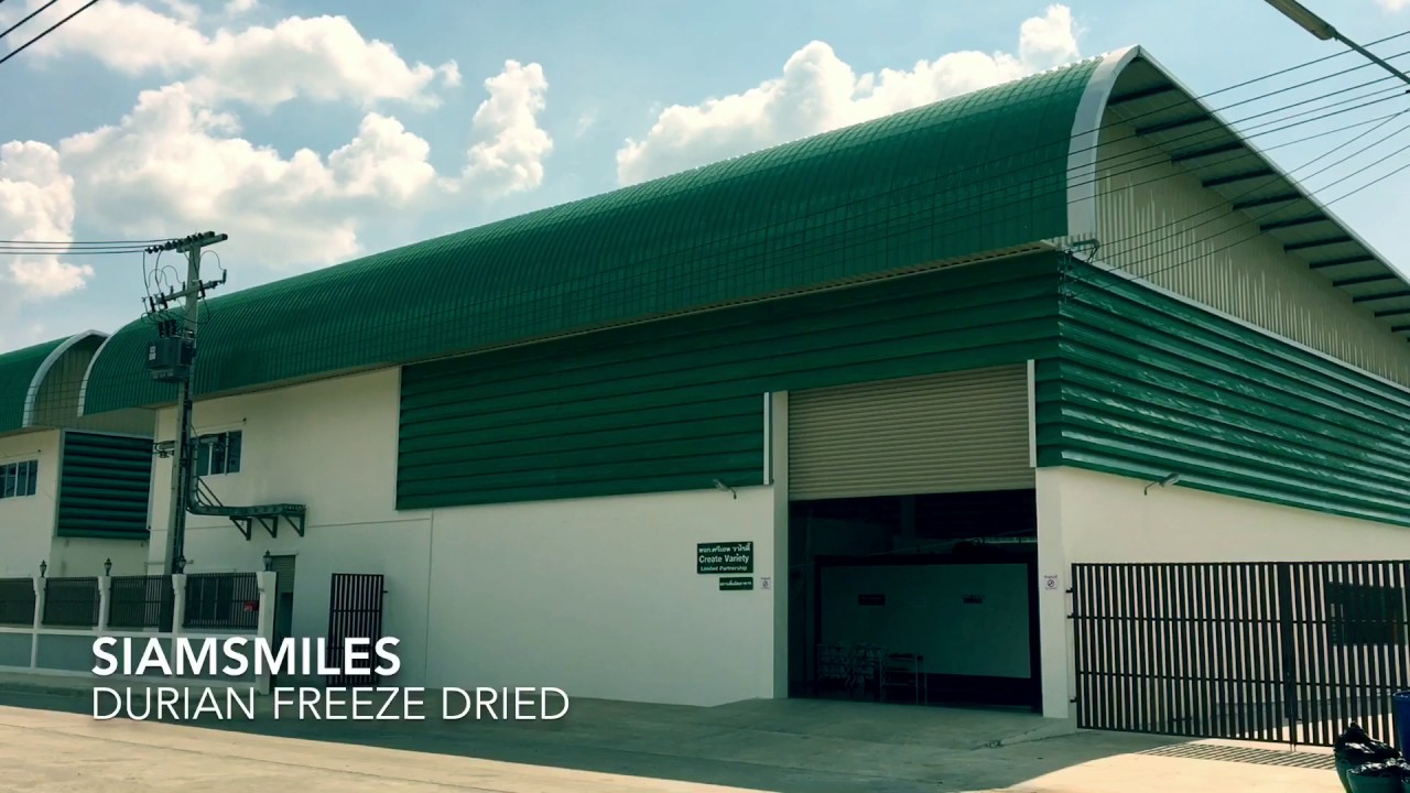 My factory Durian Freeze Dried YouTube