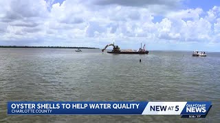 Recycled oyster shells added to Turtle Bay in Charlotte County for reef restoration