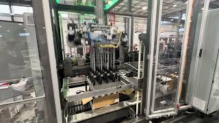 Hamrick Packaging Systems - Model CP15D-S Pick & Place Case Packer for Distilleries