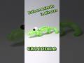 Balloon Animals in Minutes _ Crocodile #diy #balloncraft