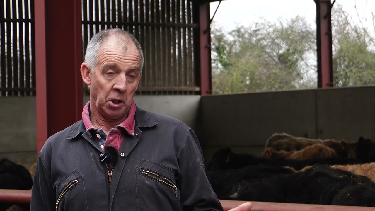 Integrating Livestock & Arable for a More Resilient Farm | Mike Powley (Episode 1)