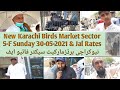 New Karachi Birds Market Sector 5-F Sunday 30-5-2021 & Jal Rates نیوکراچی برڈزمارکیٹ سیکٹر فائیو ایف