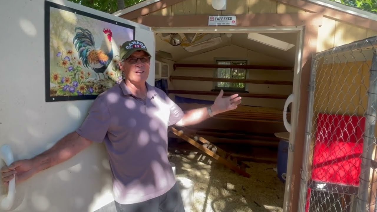 Engineer converts Tuff Shed to Chicken Coop 
