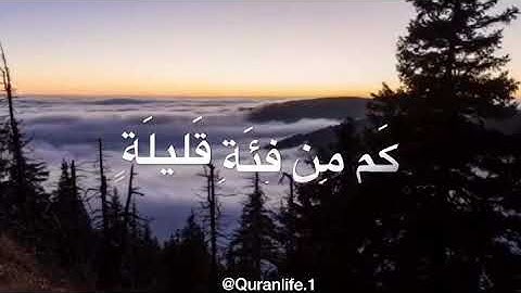 تلاوة هادئة و شجيَّة | ما تيسر من سورة البقرة - القارىء حاتم المالكي