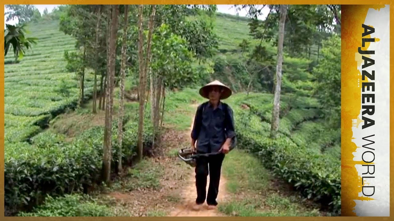 🇲🇦🇻🇳40 лет одиночества l Al Jazeera World