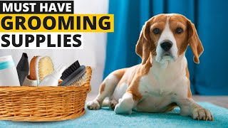 9 Grooming Supplies Every Beagle Owner MUST have