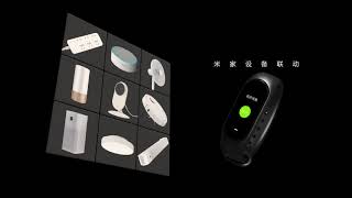 Xiaomi Hey+ Fitness Tracker with NFC
