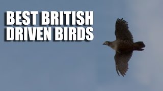 Best British Driven Bird Shooting screenshot 5