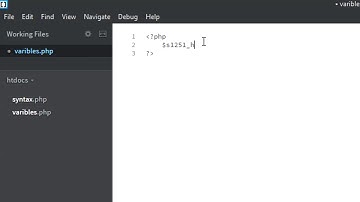 4 - PHP Variables - PHP Basics
