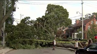 Wicked winds hammer the GTA